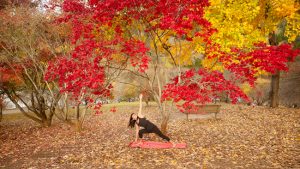 Why autumn is the best time to get back into Yoga